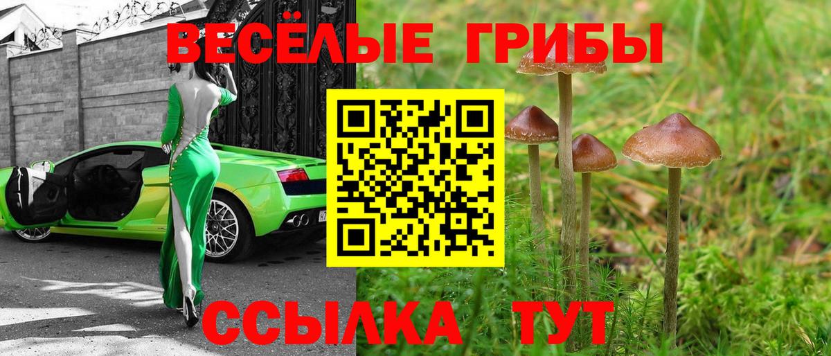 Псилоцибиновые грибы Magic Shrooms Реж